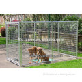 5'x10'x6' size metal wire welded galvanized outdoor large Dog kennel